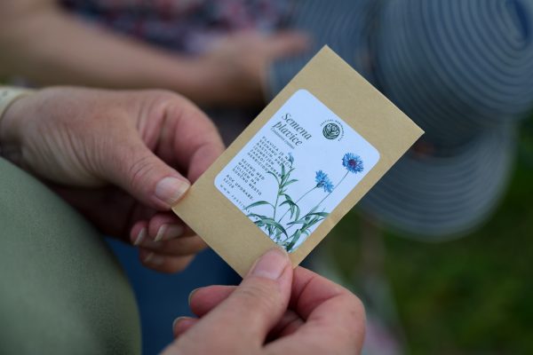 Semena plavice ok. 100 semen